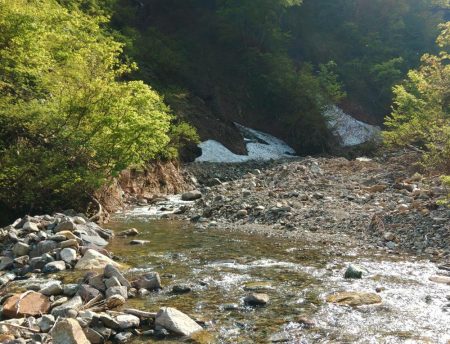 荒れ放題の川でイワナ釣り